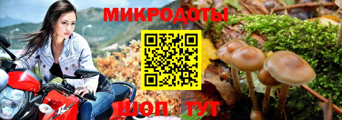 Псилоцибиновые грибы MAGIC MUSHROOMS  Вход с VPN  Еманжелинск 
