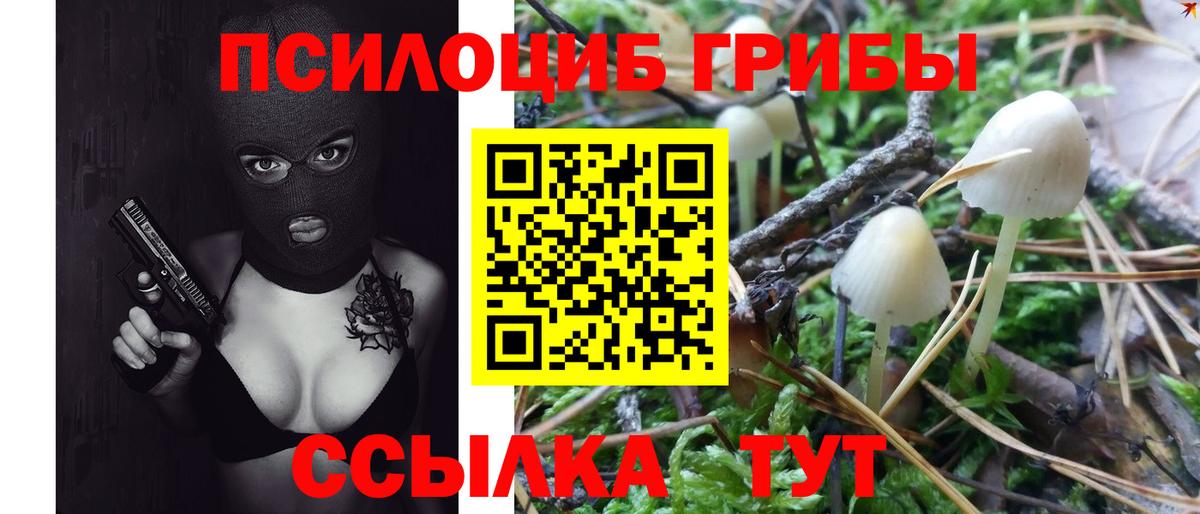 Галлюциногенные грибы GOLDEN TEACHER Еманжелинск